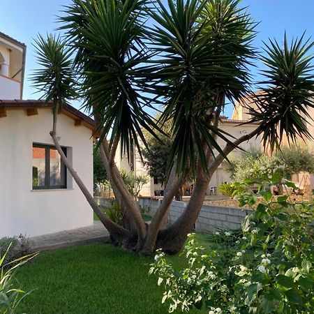 Il Pepe Rosa Bed & Breakfast Posada  Exterior foto