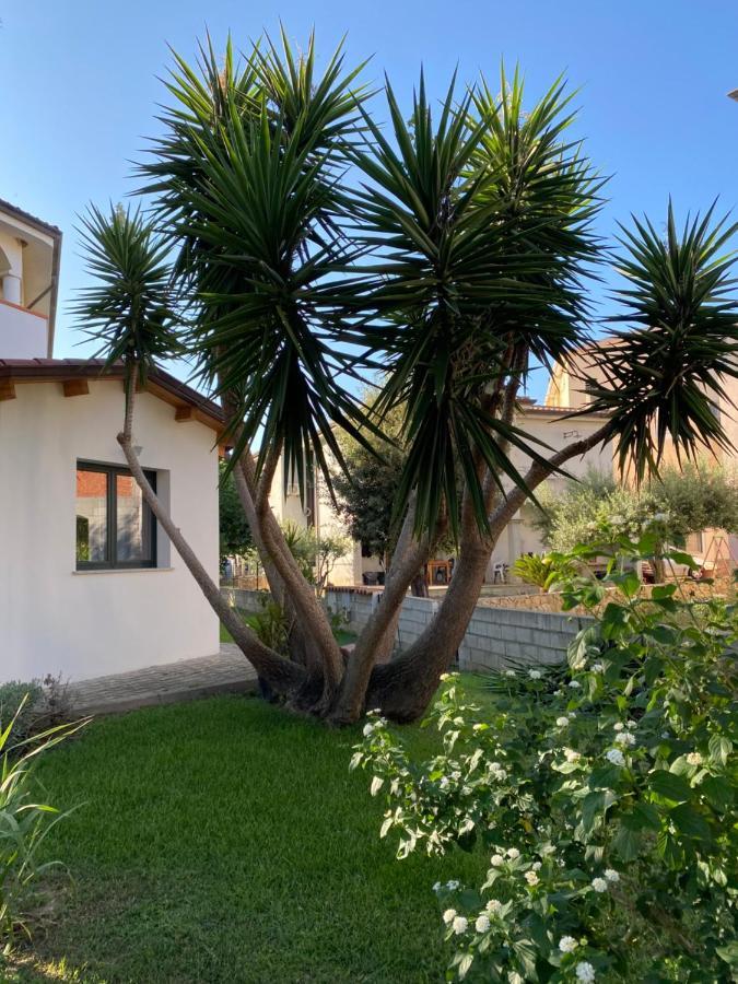 Il Pepe Rosa Bed & Breakfast Posada  Exterior foto